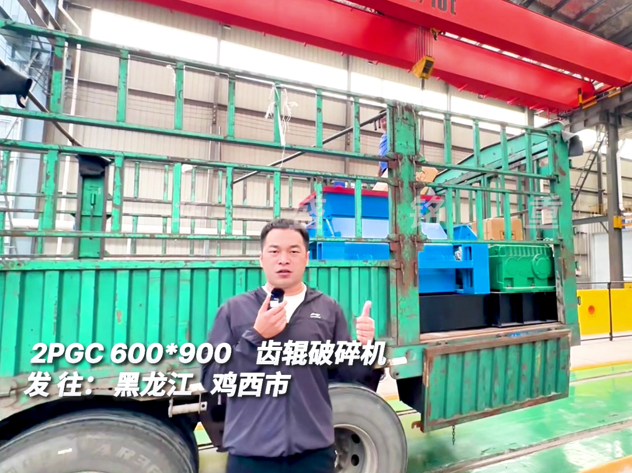2PGC600*900齒輥破碎機(jī)發(fā)往黑龍江圖片